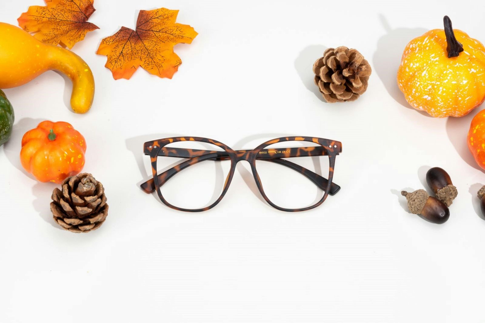Tortoiseshell glasses surrounded by fall decorations like gourds and pinecones on a white background.